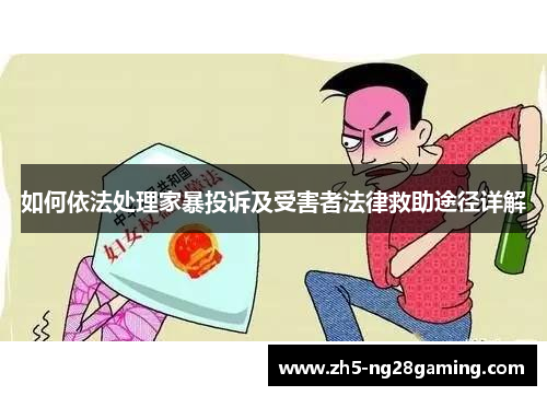 如何依法处理家暴投诉及受害者法律救助途径详解