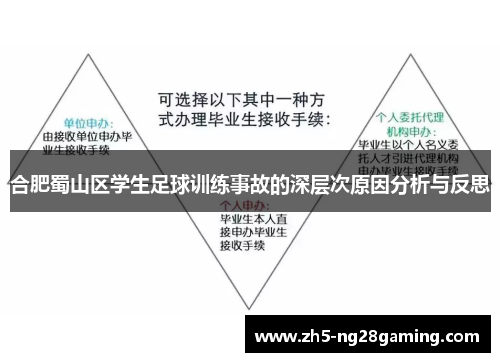 合肥蜀山区学生足球训练事故的深层次原因分析与反思 合肥蜀山区学生足球训练事故的深层次原因分析与反思