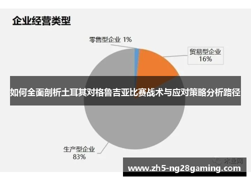 如何全面剖析土耳其对格鲁吉亚比赛战术与应对策略分析路径