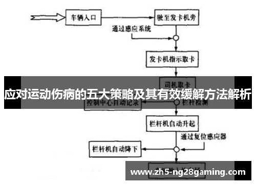应对运动伤病的五大策略及其有效缓解方法解析 应对运动伤病的五大策略及其有效缓解方法解析