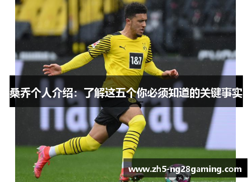 桑乔个人介绍:了解这五个你必须知道的关键事实 桑乔个人介绍:了解这五个你必须知道的关键事实