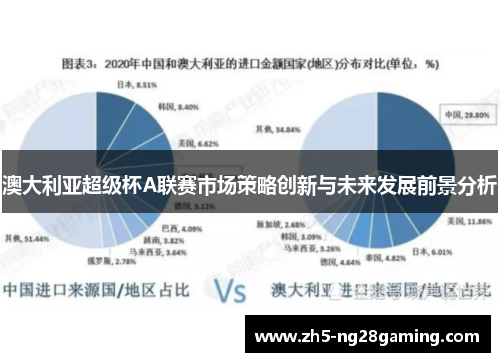 澳大利亚超级杯A联赛市场策略创新与未来发展前景分析 澳大利亚超级杯A联赛市场策略创新与未来发展前景分析