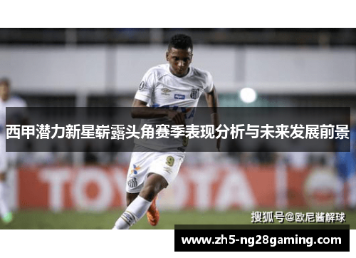 西甲潜力新星崭露头角赛季表现分析与未来发展前景